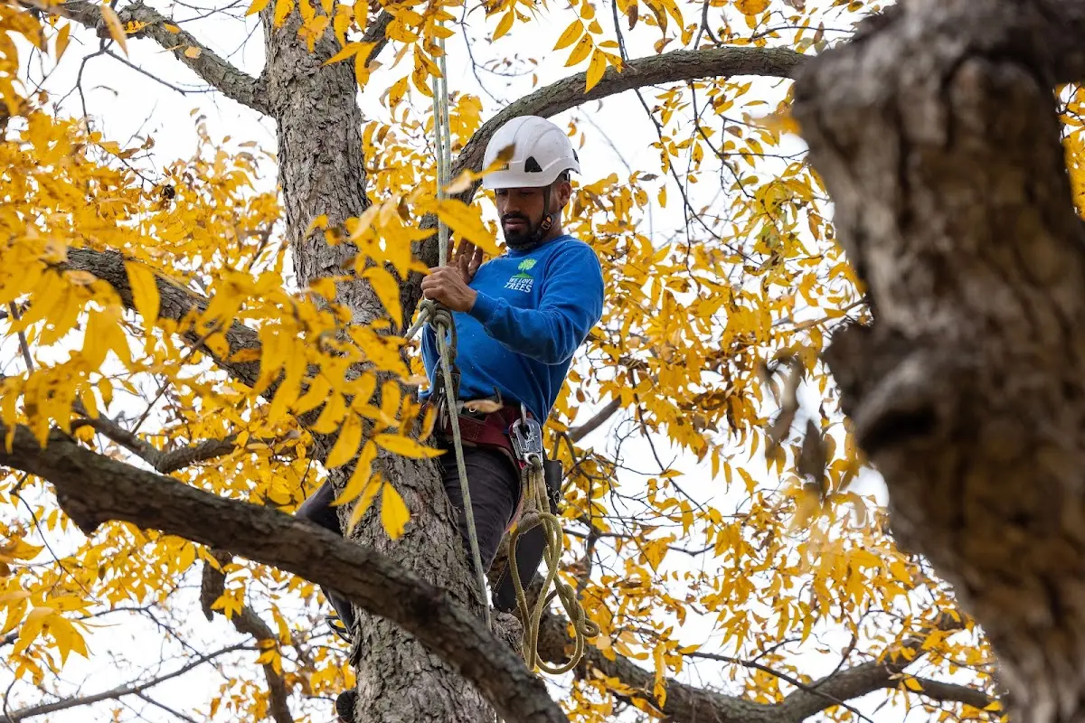 Skilled Storm Damage Cleanup crew working in Elkhart